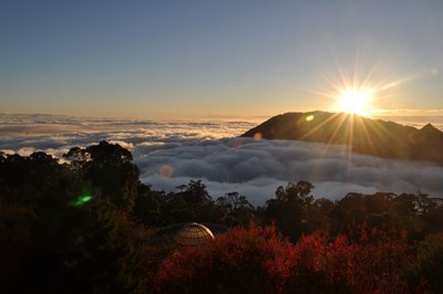 大雪山國家森林遊樂區0