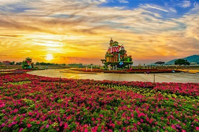 0台中國際花毯節美不勝收