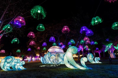 百組燈組點亮中央公園夜空