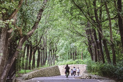 后豐鐵馬道-由臺中市政府觀光旅遊局提供
