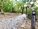 一起到桂花泉登山步道踏青去