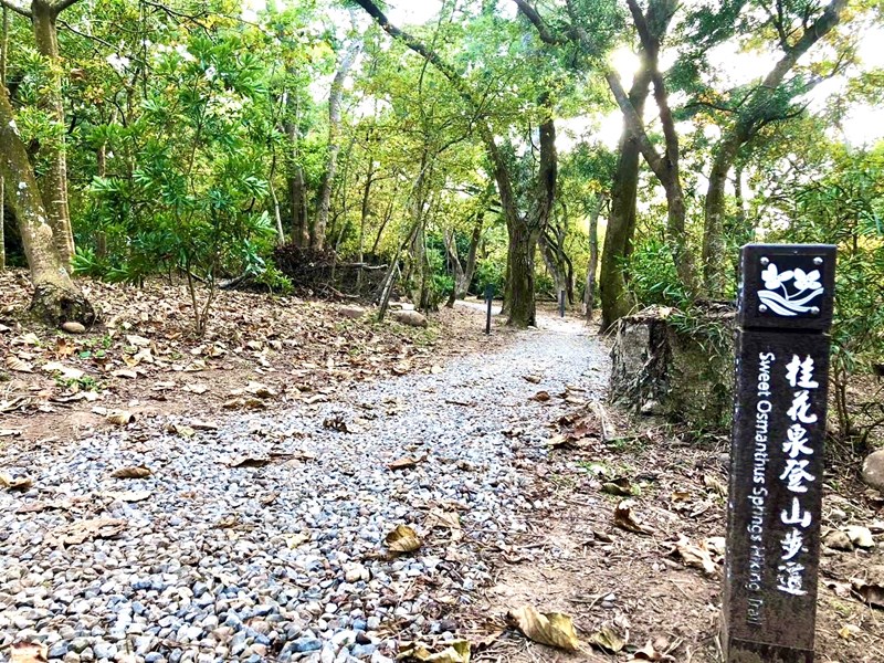一起到桂花泉登山步道踏青去