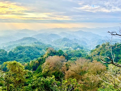 步道多數區域處於山稜線上,景觀開闊美麗