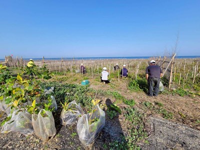 A.與台灣山林復育協會再次攜手合作植林