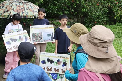 小小紫斑蝶生態志工解說