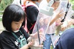 蛙類解說