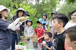 蝴蝶生態解說