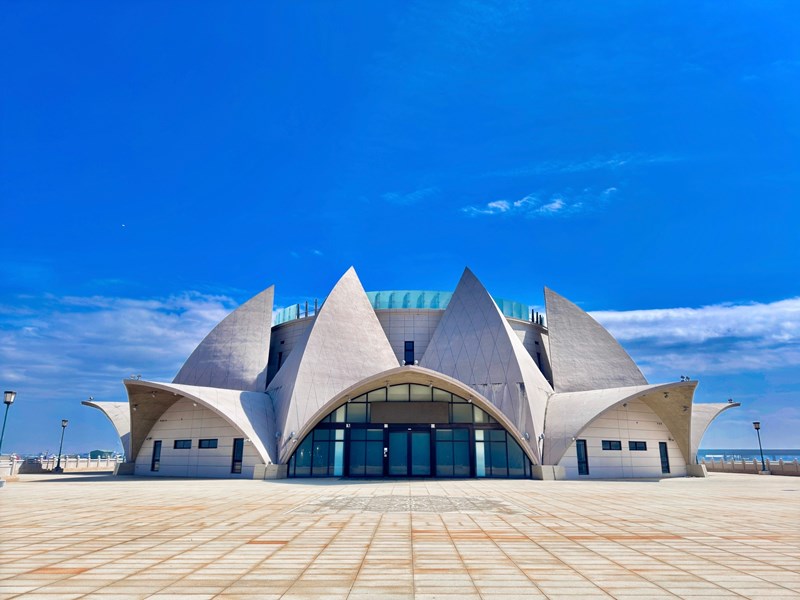 台日漂流木藝術創造交流7月6日於大安港媽祖文化園區開展