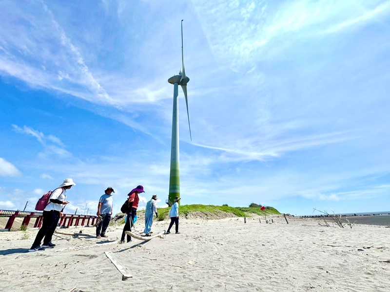 藝術家前往大安海灘取材漂流木進行藝術創作