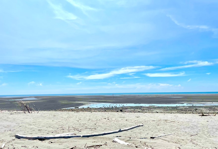 大安漂流木與藝術結合饗宴即將於7月6日展出