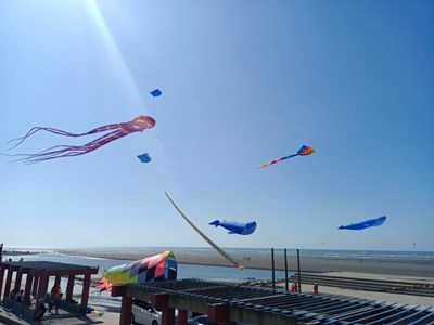 大安海洋觀光推廣活動大型風箏施放