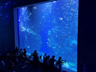 台中海洋館_0 (2)