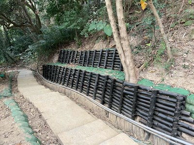 6號步道設置木樁駁坎，以防止崩落