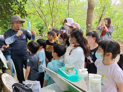 螢火蟲生態解說