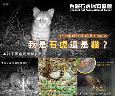 筏子溪科普第二篇