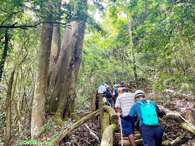 上工囉～透早登山前往施作位置