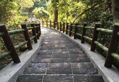 大甲鐵砧山劍井登山步道(施工後) (2)