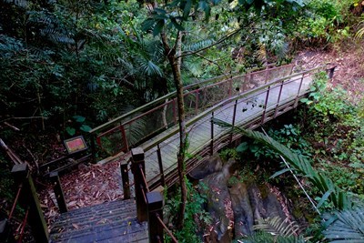 打造登山體驗新亮點-蝙蝠洞登山步道部分封閉施工