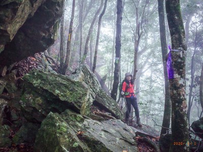 谷關七雄登山趣-迴響熱烈-中市府加碼完登證書限期追加申請