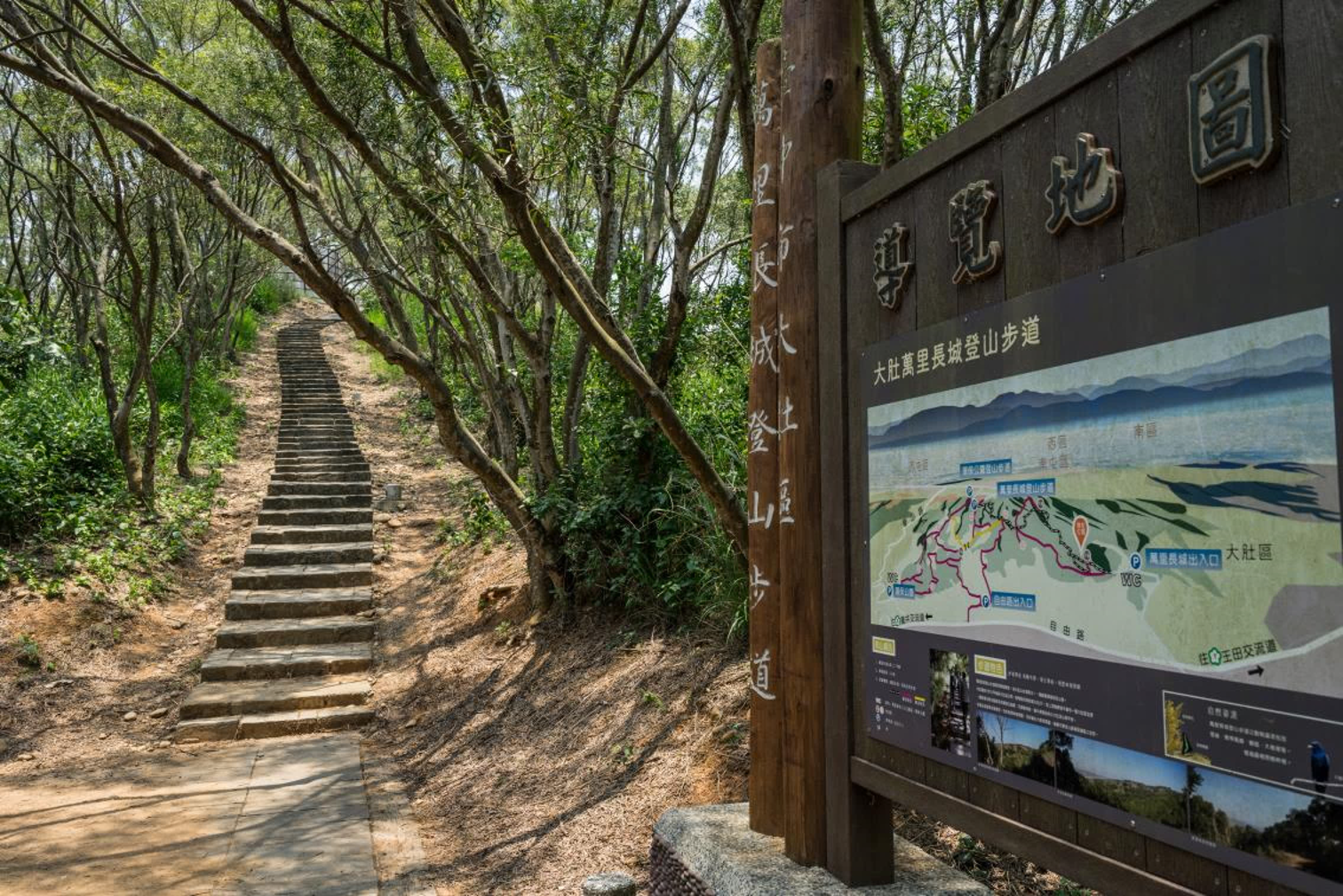 大肚萬里長城步道-中市登山健行亮點