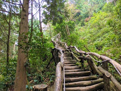 步道自然美景