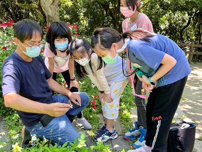 夏季賞蝶將登場敬請期待